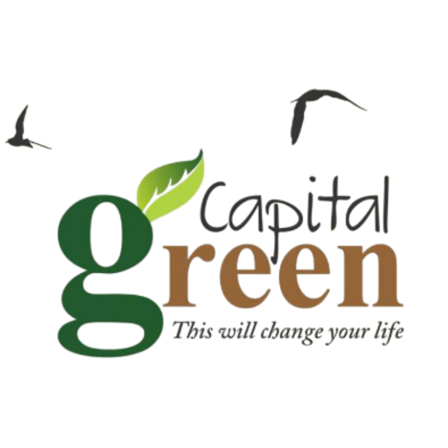 Best digital marketing company in Bhopal Best digital marketing Institute in Bhopal Best Digital marketing Company AI digital marketing agency in bhopal